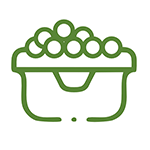 نقل و سکه - وسایل تولد هــورا