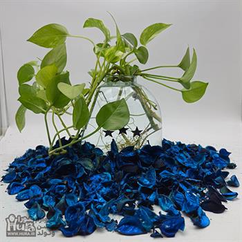 گل خشک رنگ آبی کاربنی  1کیلوگرمی