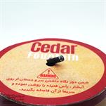 آبشار مدل سرو-نارگستر